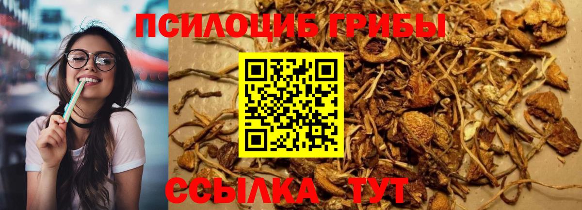 Псилоцибиновые грибы MAGIC MUSHROOMS  Псилоцибиновые грибы GOLDEN TEACHER  Вход с VPN  Полевской 